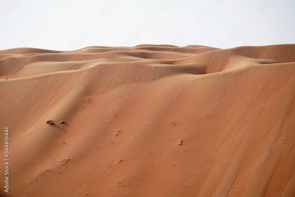 sand dunes in the desert