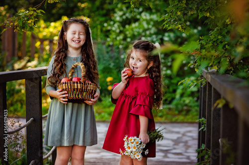 The concept of childhood  family and natural beauty. The sisters are walking in the Park with a basket of apples and daisies. Girls with smiling faces talk to each other.