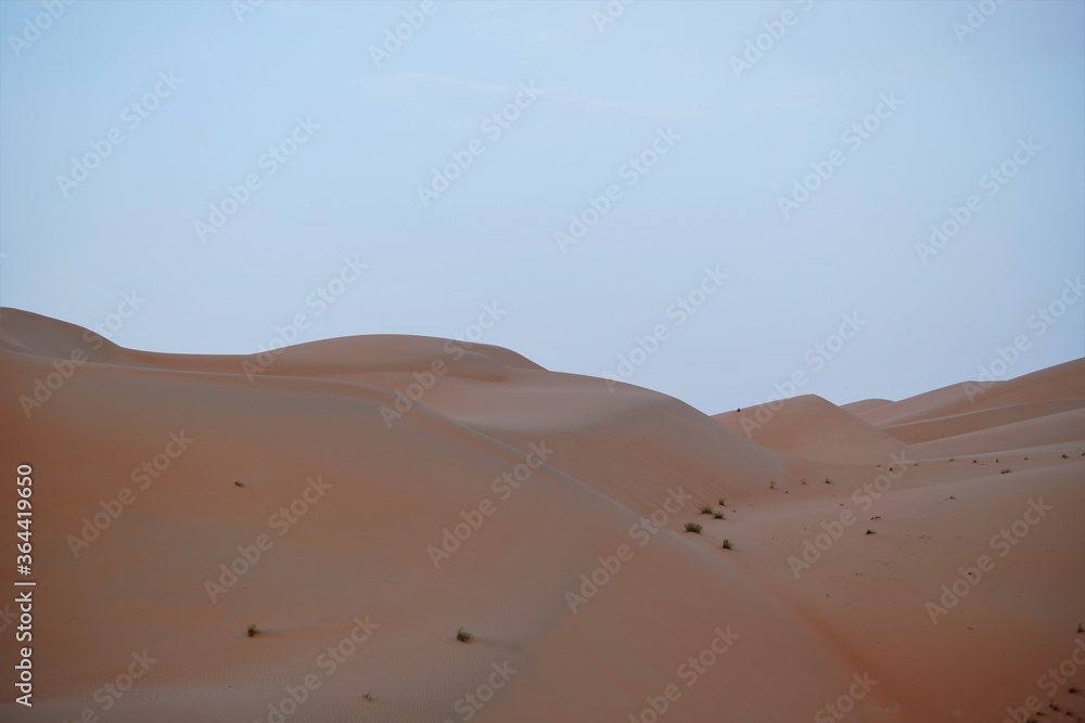 sand dunes in liwa desert