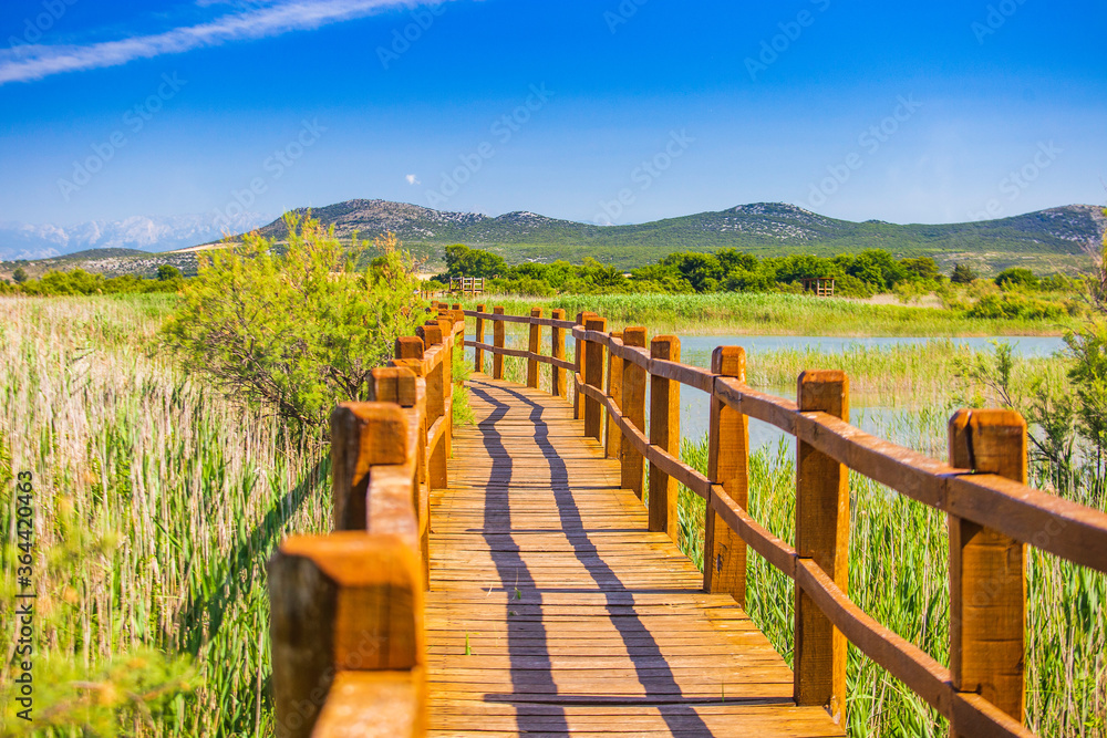 Beautiful nature park Vrana lake (Vransko jezero), Dalmatia, Croatia, wooden path in observation park
