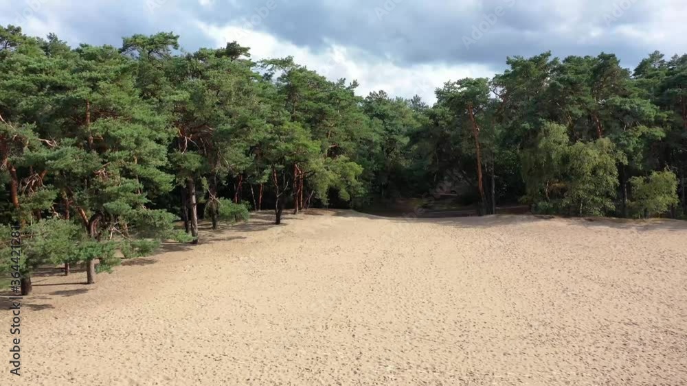 Drone Flying Over The Shifting Sand Dunes And Lush Trees In Soesterduinen, Utrecht, Netherlands On A Sunny Morning - ascending drone shot Drone Flying Over The Shifting Sand Dunes And Lush Trees In Soesterduinen, Utrecht, Netherlands On A Sunny Morning - ascending drone shot