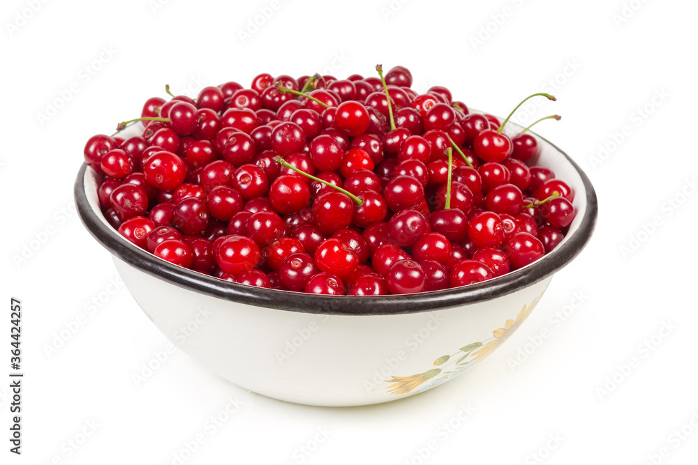 Freshly picked sour cherries in big enameled bowl close-up Freshly picked sour cherries in big enameled bowl close-up