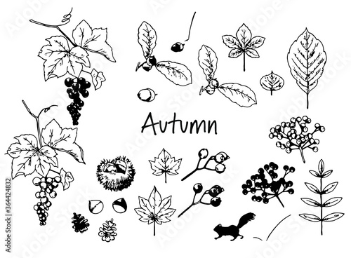 ペンで描いた秋の森の素材セット