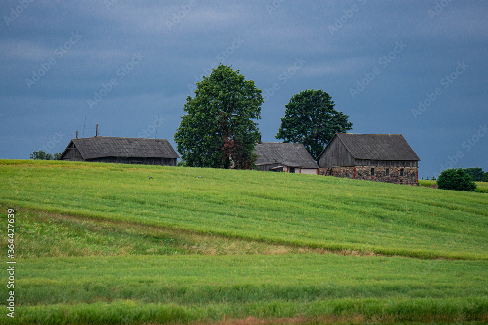 beautiful landscape of fields, forests and blue sky in Latvia in summer. beautiful landscape of fields, forests and blue sky in Latvia in summer.