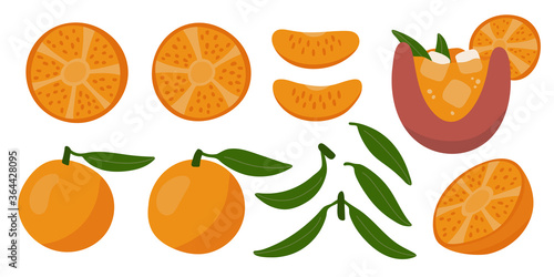 Oranges and tangerines. Set of juicy fruits for summer design. Modern illustration in flat style. Whole fruits, slices, leaves. Bright colorful elements.
