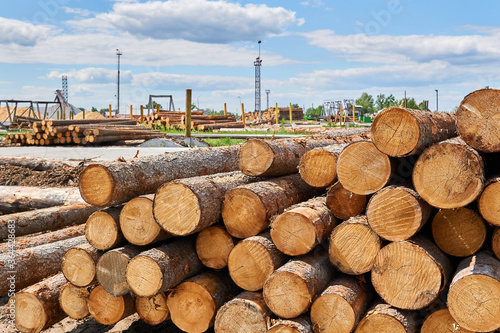 stacks of logs in the lumber yard photo