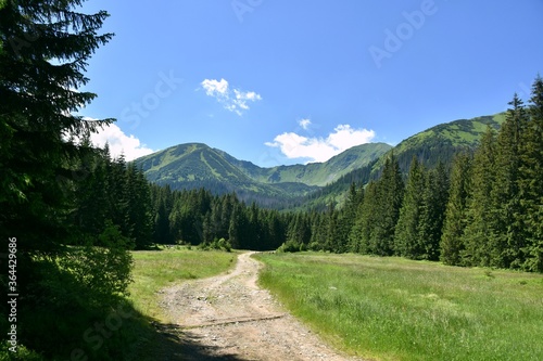 Szlak Papieski w Tatrach Zachodnich. Żółty szlak w Dolinie Chochołowskiej