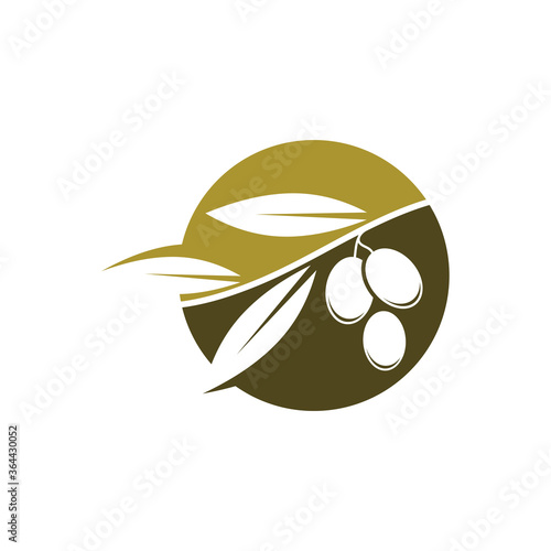 Olive logo template vector icon illustration