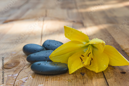 Relax or spa concept. Yellow lily and black massage stones with waterdrops on wet wooden background photo