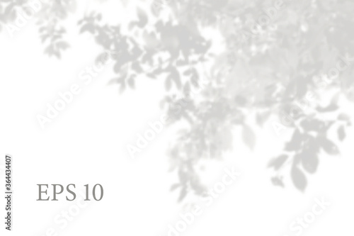 Transparent natural apple tree branches shadow. Light effect overlay. Mesh grid. Presentation your design card, poster, stories Photo realistic illustration