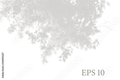 Transparent natural tree branches shadow. Light effect overlay. Mesh grid. Presentation your design card, poster, stories Photo realistic illustration