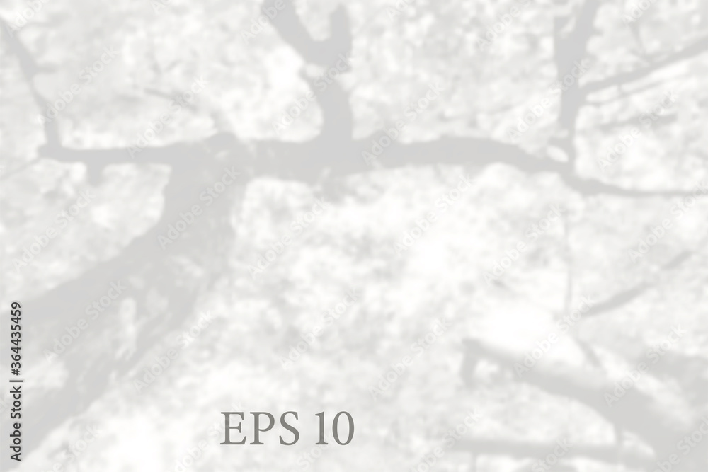 Fototapeta premium Transparent natural tree branches shadow. Light effect overlay. Mesh grid. Presentation your design card, poster, stories Photo realistic illustration