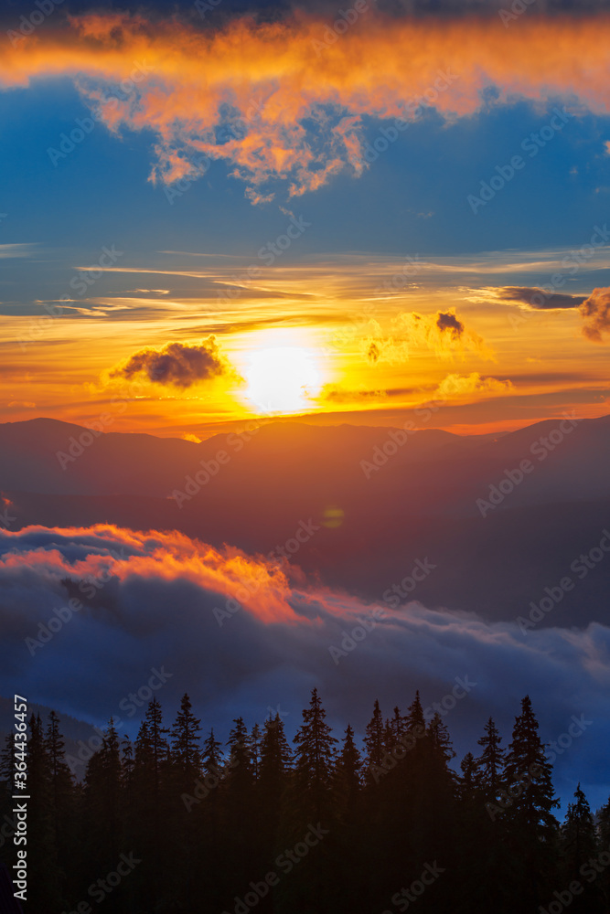 Beautiful sunrise in mountain forest with magical sky on background