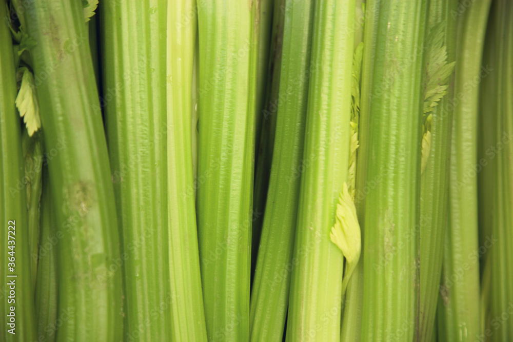 Fototapeta premium Close-up of celery sticks