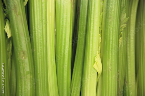 Close-up of celery sticks