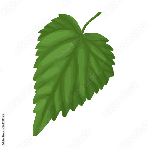 Hop vector cartoon icon. Isolated cartoon illustration icon humulus. Vector illustration hop on white background.