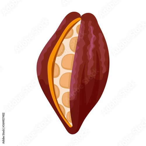 Cocoa bean isolated cartoon illustration icon. Vector illustration chocolate fruit on white background. Vector cartoon icon cocoa bean.