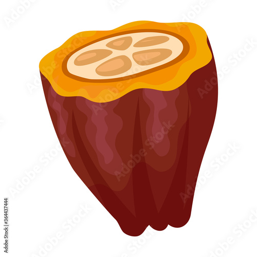 Cocoa bean isolated cartoon illustration icon. Vector illustration chocolate fruit on white background. Vector cartoon icon cocoa bean.