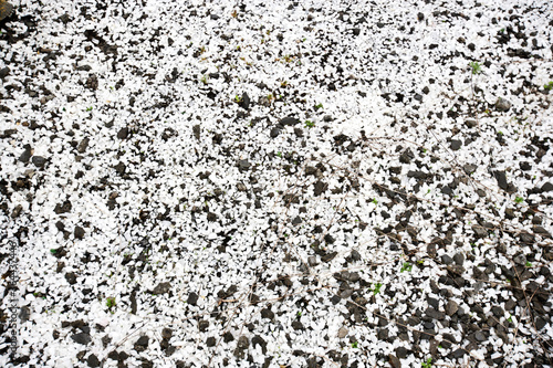 White and Black Pebble background