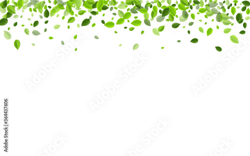 Olive Foliage Forest Vector Illustration. 
