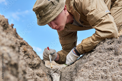 man archaeologist carefully cleans the find with a brush photo