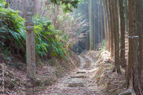 Koyasan choishi-michi in Kudoyama, Wakayama, Japan. It is part of the 