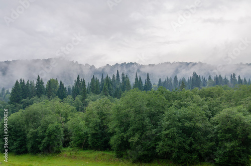 Morning fog, smoke over green trees in the mountains
