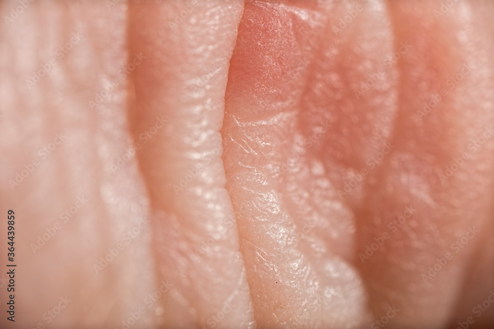 Detailed macro photo of human skin. Detailed texture. Closeup background