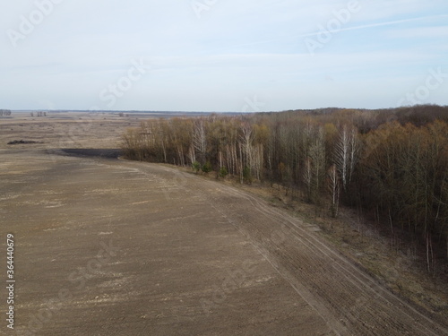 Agricultural field near the forest, aerial view. Landscape.