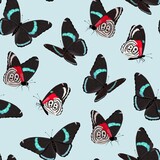 Vector pattern with high detailed vivid butterfly