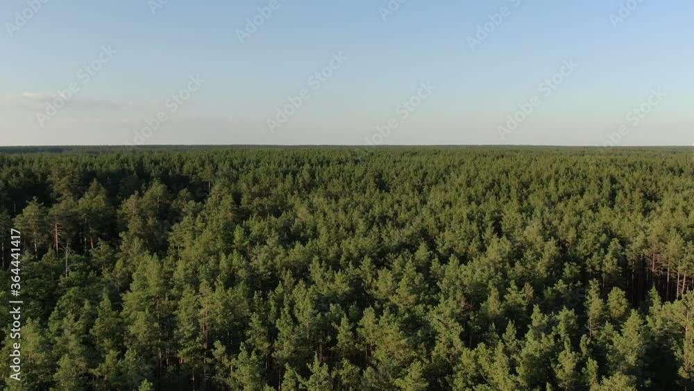 Spans and panoramas over the dense forest Spans and panoramas over the dense forest