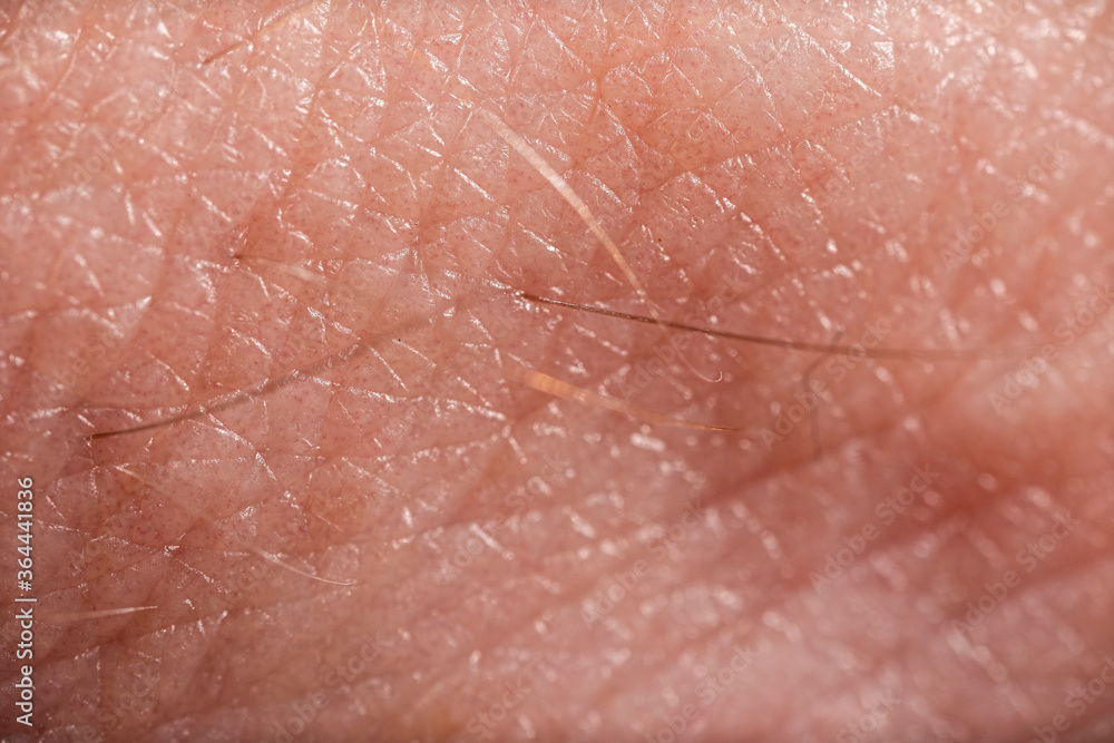 Fototapeta premium Detailed macro photo of human skin. Detailed texture. Closeup background