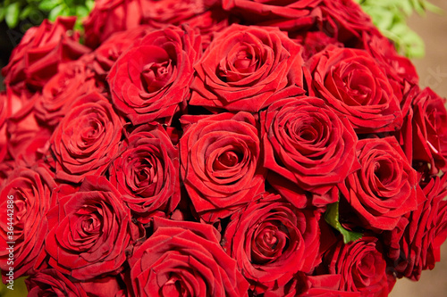 Blumenstrau   aus roten Rosen zum Valentinstag