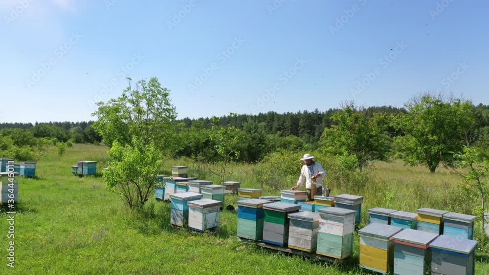 Beekeepr working on the beehive. Beekeeper working with bees and beehives on the apiary Beekeepr working on the beehive. Beekeeper working with bees and beehives on the apiary