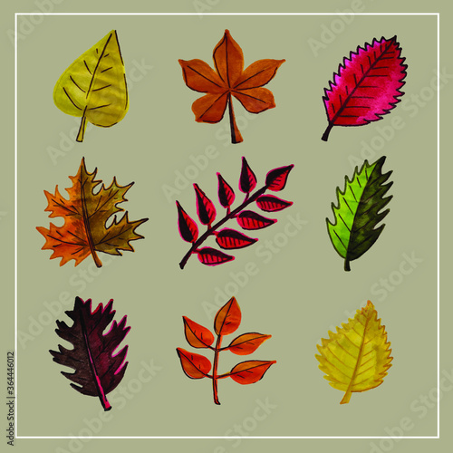 Autumn set of leaves of different trees. Yellow  red  orange  maple  birch  oak. Hand-painted  watercolor. Vector isolated objects.