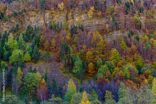 Colorful trees autumn landscape (Spain, Ordesa Canyon)