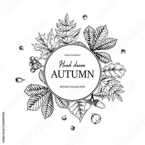Hand drawn circle autumn botanical frame with falling leaves, acorn and berries. Vector illustration in sketch style isolated on white. Realistic forest design elements Space for text