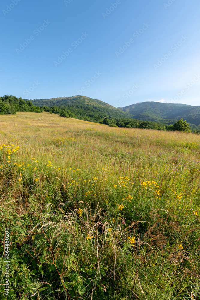 High plain plateau of Dubasnica mountain in eastern Serbia near the city of Bor