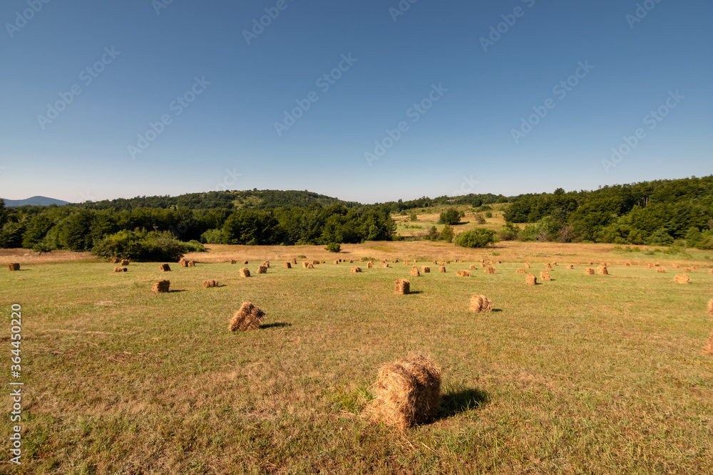 Haystacks on Dubasnica mountain in eastern Serbia near the city of Bor Haystacks on Dubasnica mountain in eastern Serbia near the city of Bor