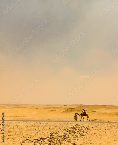 couple walking on the desert with their camel