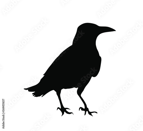 Crow vector silhouette isolated on white background. Black bird raven symbol.