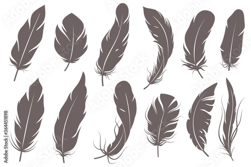 Feather silhouettes. Different feathering birds, graphic simple shapes pen decorative elements, gray elegant sketch plume wings vector set