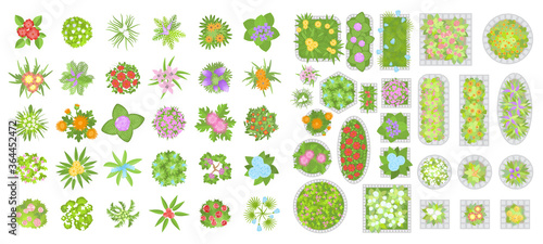 Flowers and flower beds. Top view. Collection of different flowers for architectural and landscape design. (View from above) Nature green spaces.