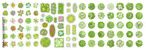 Vector set. Trees, flowers and flower beds. Top view. Different plants and trees vector set for architectural or landscape design. (View from above) Nature green spaces.
