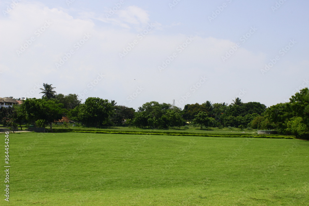 golf course in the summer - Wallpaper/Background golf course in the summer - Wallpaper/Background