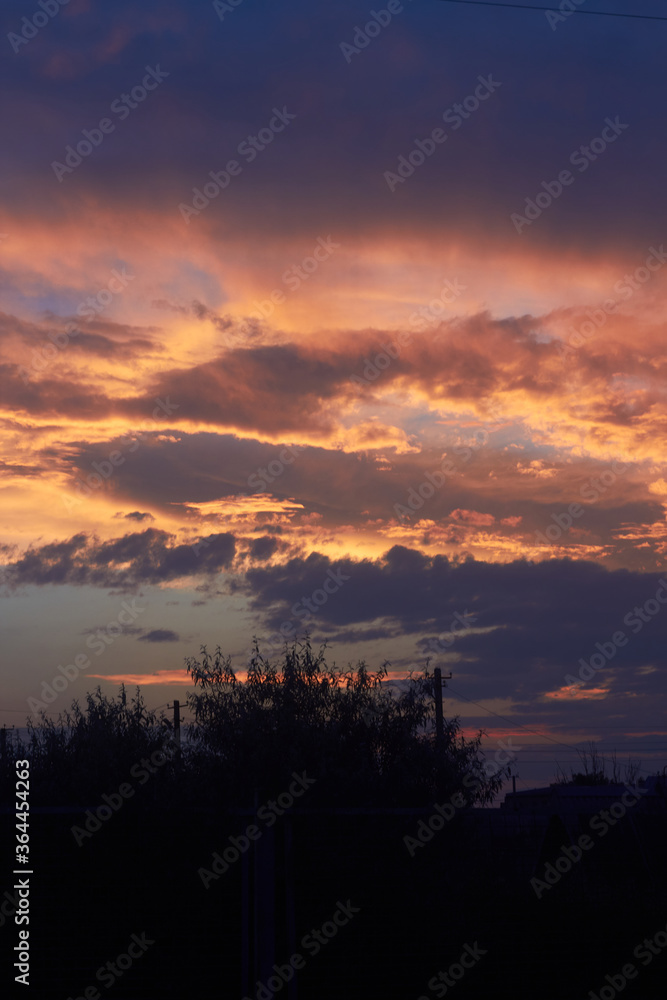 Fototapeta premium sunset in the sky