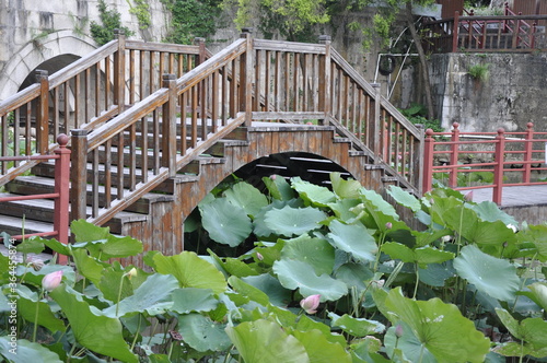 wood bridge and pond 