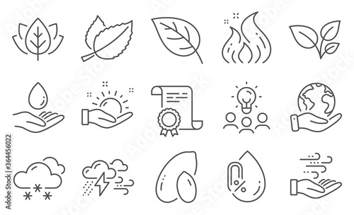 Set of Nature icons, such as Peanut, Leaves. Diploma, ideas, save planet. Organic tested, Water care, Mint leaves. Wind energy, Bad weather, No alcohol. Vector