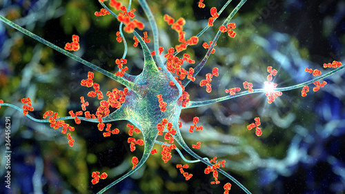 Bild auf Leinwand Antibodies attacking neuron