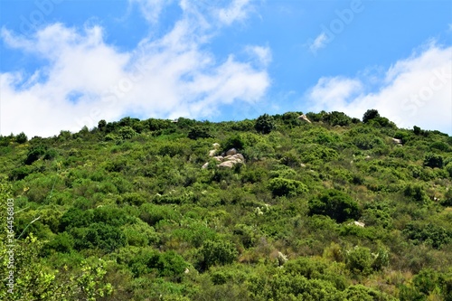 Leafy green mountain with lots of vegetation and sky with clouds
